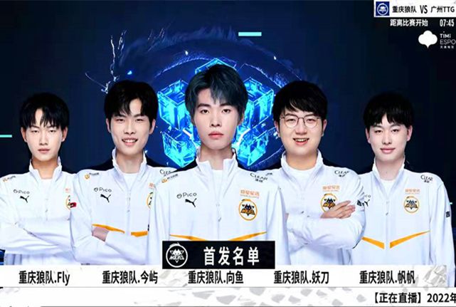 的实用指南